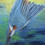 Eisvogel 63x43