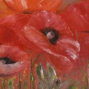 Klatschmohn 30x40